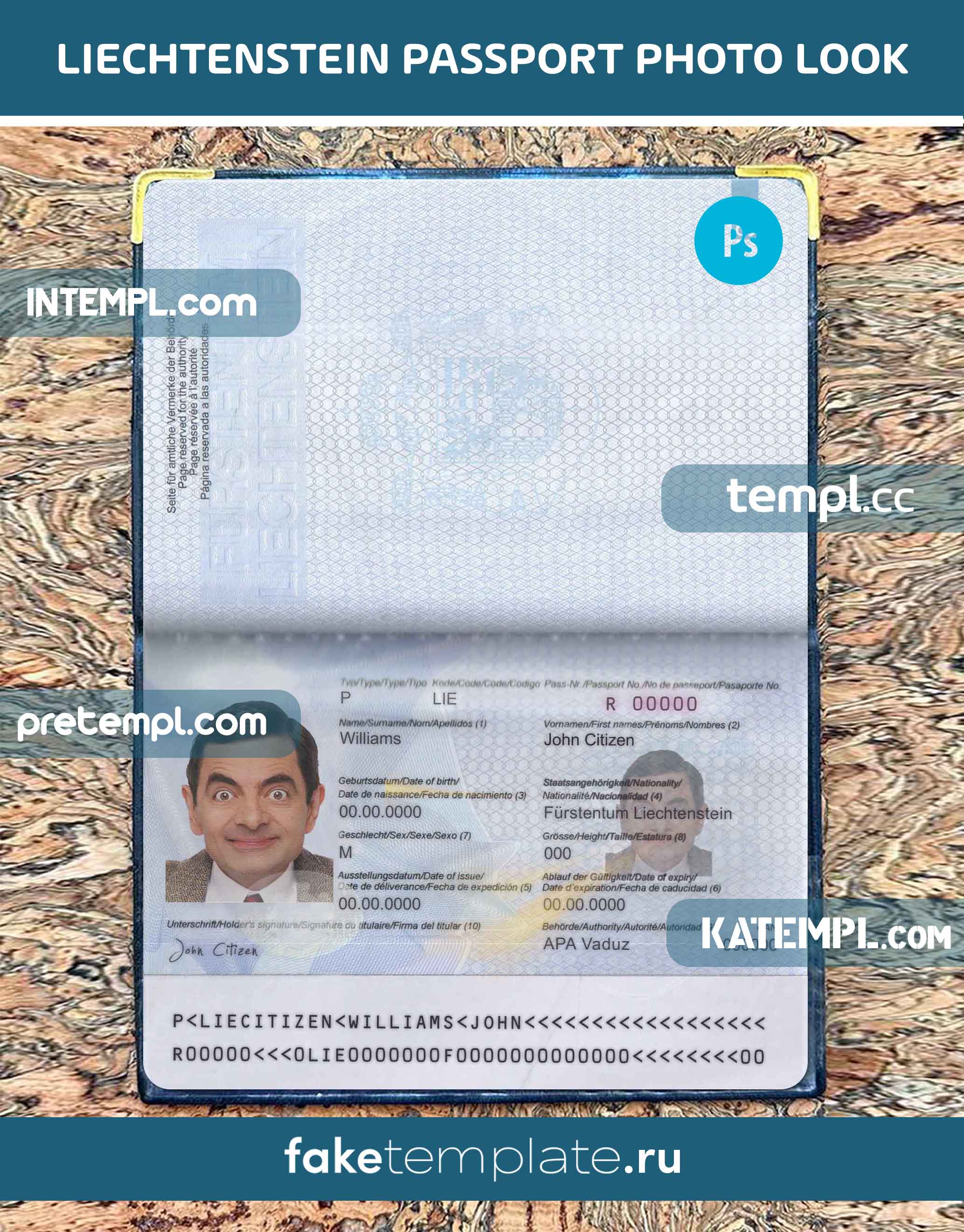 Liechtenstein-pass-photo-look