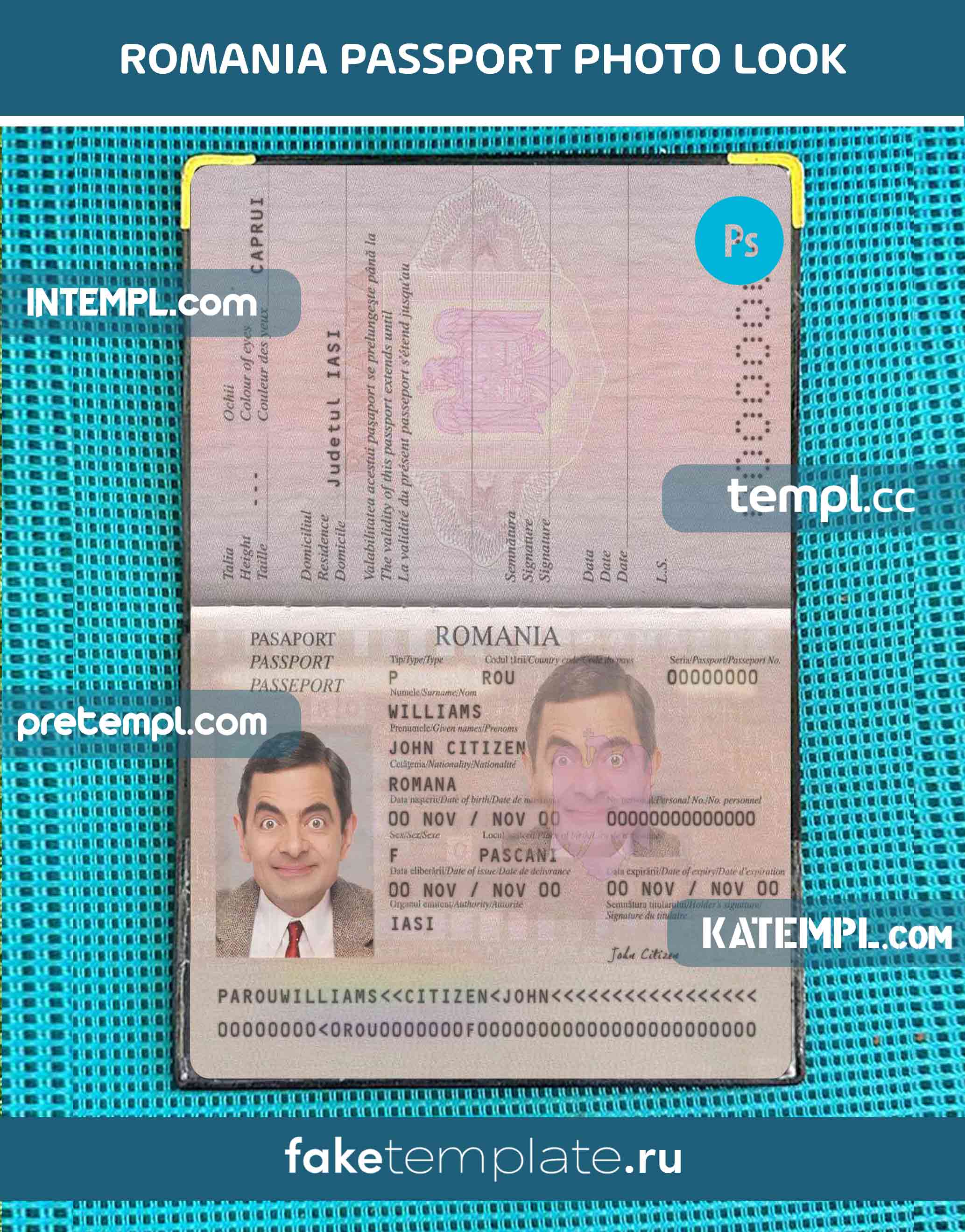 Romania-pass-2013-present-photo-look